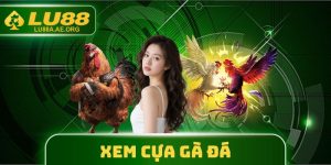 Xem Cựa Gà Đá